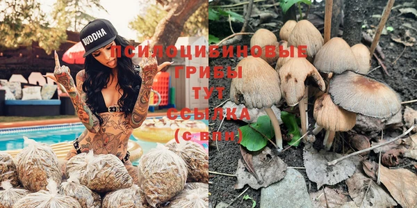 амф Абаза