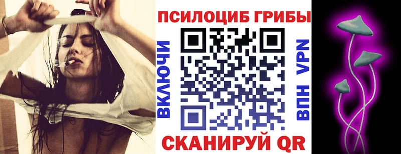 OMG маркетплейс  Серафимович  Псилоцибиновые грибы MAGIC MUSHROOMS  закладка 